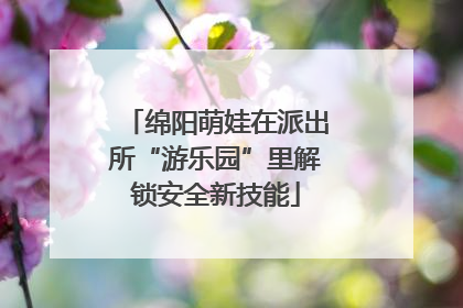 绵阳萌娃在派出所“游乐园”里解锁安全新技能