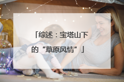 综述：宝塔山下的“草原风情”