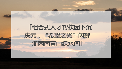 组合式人才帮扶团下沉庆元，“希望之光”闪耀浙西南青山绿水间