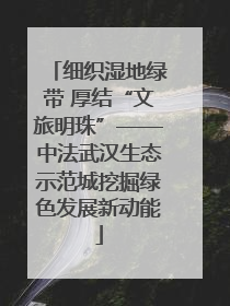 细织湿地绿带 厚结“文旅明珠”——中法武汉生态示范城挖掘绿色发展新动能