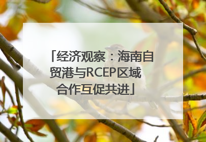经济观察：海南自贸港与RCEP区域合作互促共进