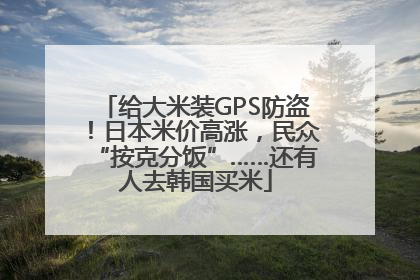 给大米装GPS防盗！日本米价高涨，民众“按克分饭”……还有人去韩国买米