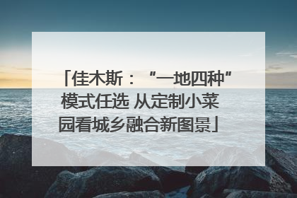 佳木斯：“一地四种” 模式任选 从定制小菜园看城乡融合新图景