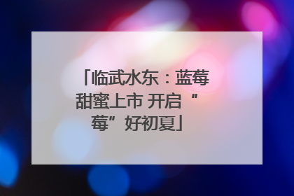 临武水东：蓝莓甜蜜上市 开启“莓”好初夏