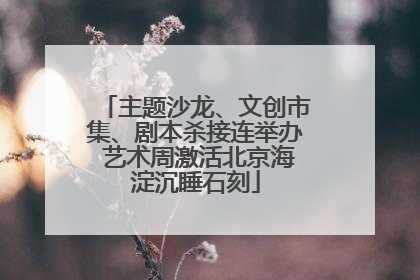 主题沙龙、文创市集、剧本杀接连举办 艺术周激活北京海淀沉睡石刻
