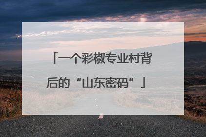一个彩椒专业村背后的“山东密码”