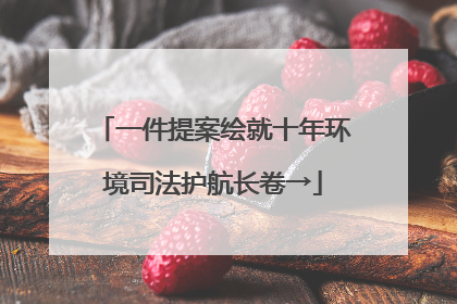 一件提案绘就十年环境司法护航长卷→
