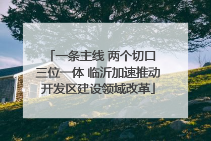 一条主线 两个切口 三位一体 临沂加速推动开发区建设领域改革
