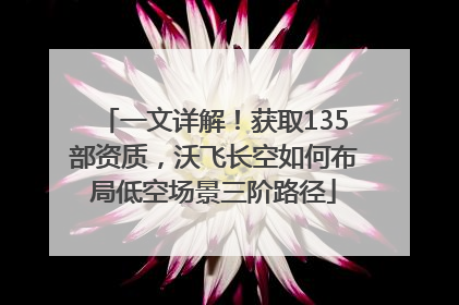 一文详解！获取135部资质，沃飞长空如何布局低空场景三阶路径