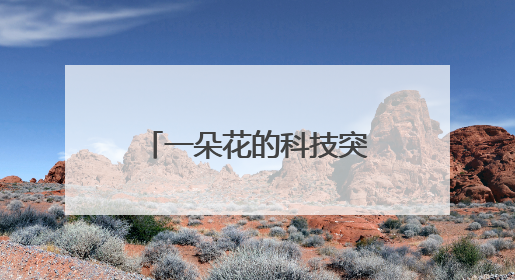 一朵花的科技突围——“三用百合”从实验室到产业链的菏泽实践