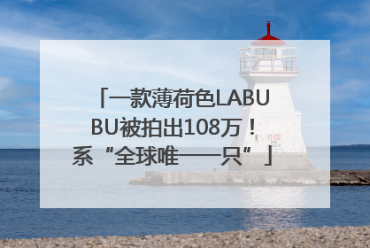 一款薄荷色LABUBU被拍出108万！系“全球唯一一只”