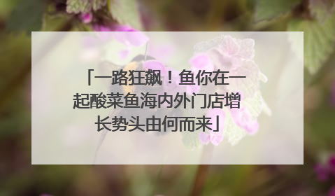 一路狂飙！鱼你在一起酸菜鱼海内外门店增长势头由何而来