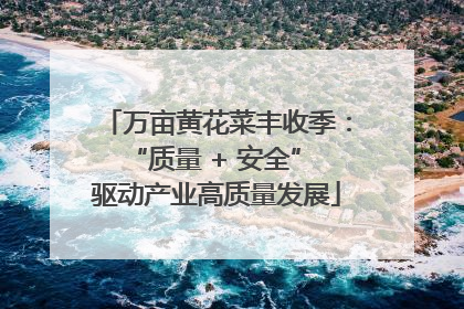 万亩黄花菜丰收季：“质量 + 安全” 驱动产业高质量发展
