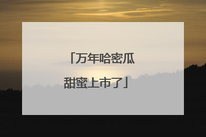 万年哈密瓜甜蜜上市了