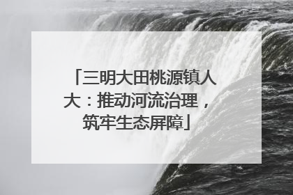 三明大田桃源镇人大：推动河流治理，筑牢生态屏障