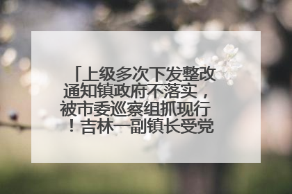 上级多次下发整改通知镇政府不落实，被市委巡察组抓现行！吉林一副镇长受党内警告处分