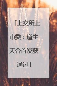上交所上市委：道生天合首发获通过