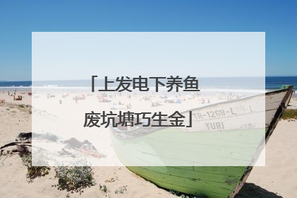 上发电下养鱼 废坑塘巧生金