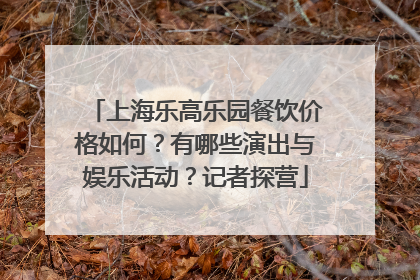 上海乐高乐园餐饮价格如何？有哪些演出与娱乐活动？记者探营