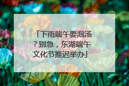 下雨端午要泡汤？别急，东湖端午文化节推迟举办