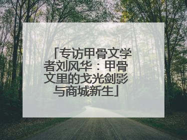 专访甲骨文学者刘风华：甲骨文里的戈光剑影与商城新生