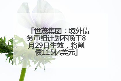 世茂集团：境外债务重组计划不晚于8月29日生效，将削债115亿美元