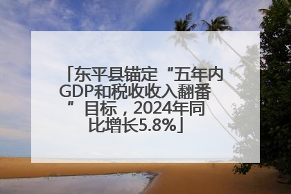 东平县锚定“五年内GDP和税收收入翻番”目标，2024年同比增长5.8%