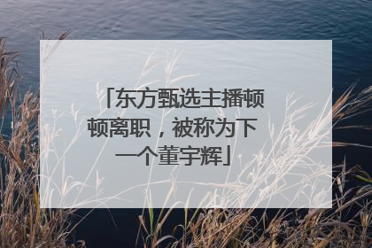 东方甄选主播顿顿离职，被称为下一个董宇辉