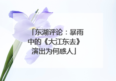 东湖评论：暴雨中的《大江东去》演出为何感人