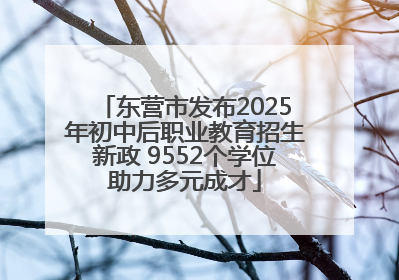 东营市发布2025年初中后职业教育招生新政 9552个学位助力多元成才