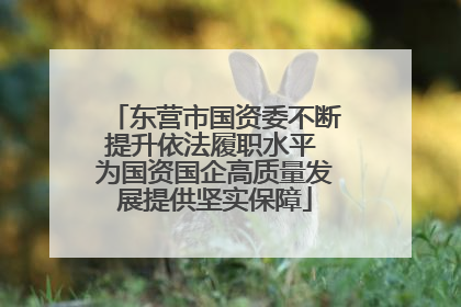 东营市国资委不断提升依法履职水平 为国资国企高质量发展提供坚实保障