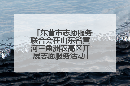 东营市志愿服务联合会在山东省黄河三角洲农高区开展志愿服务活动