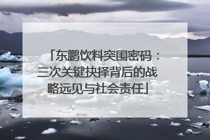 东鹏饮料突围密码：三次关键抉择背后的战略远见与社会责任