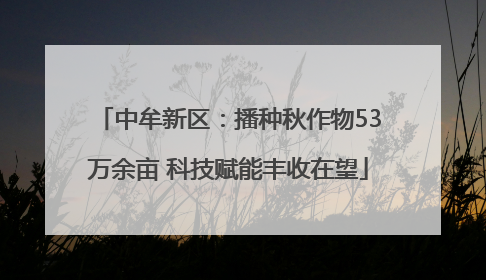 中牟新区：播种秋作物53万余亩 科技赋能丰收在望