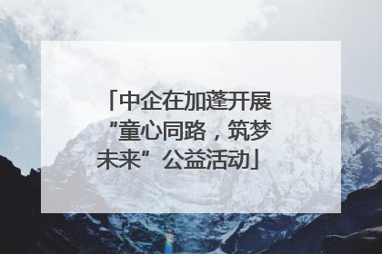 中企在加蓬开展“童心同路，筑梦未来”公益活动