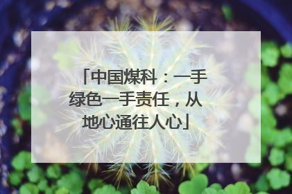中国煤科：一手绿色一手责任，从地心通往人心