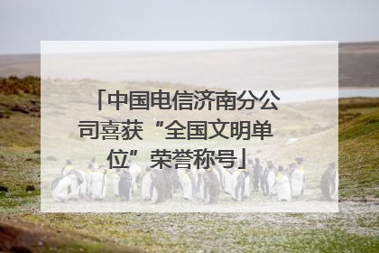 中国电信济南分公司喜获“全国文明单位”荣誉称号