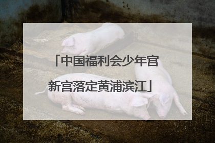中国福利会少年宫新宫落定黄浦滨江