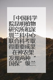 中国科学院昆明植物研究所和深圳兰科中心联合科考取得重要成果 在神农架发现两种“国保”级兰花