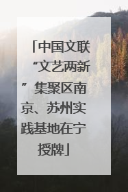 中国文联“文艺两新”集聚区南京、苏州实践基地在宁授牌