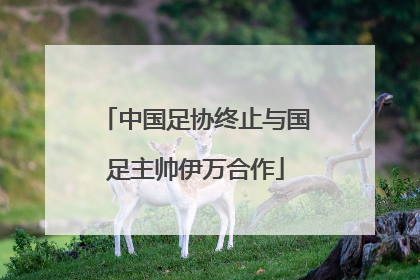 中国足协终止与国足主帅伊万合作