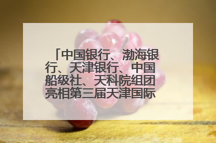 中国银行、渤海银行、天津银行、中国船级社、天科院组团亮相第三届天津国际航运展 输出航运服务“中国方案”