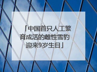 中国首只人工繁育成活的雌性雪豹迎来9岁生日