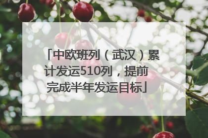中欧班列（武汉）累计发运510列，提前完成半年发运目标