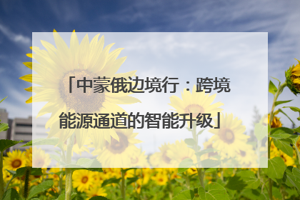 中蒙俄边境行：跨境能源通道的智能升级