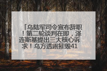 乌陆军司令宣布辞职！第二轮谈判在即，泽连斯基提出三大核心诉求！乌方透露摧毁41架俄战略轰炸机