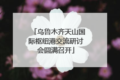 乌鲁木齐天山国际枢纽港交流研讨会圆满召开