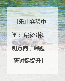 乐山实验中学：专家引领明方向，课题研讨促提升