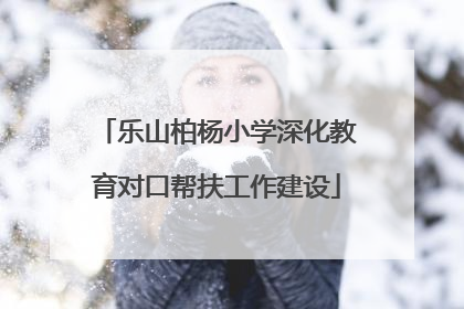 乐山柏杨小学深化教育对口帮扶工作建设