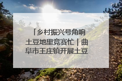 乡村振兴号角响 土豆地里竞赛忙｜曲阜市王庄镇开展土豆收获劳动竞赛